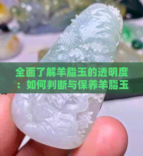 全面了解羊脂玉的透明度：如何判断与保养羊脂玉，让你轻松掌握透度秘诀