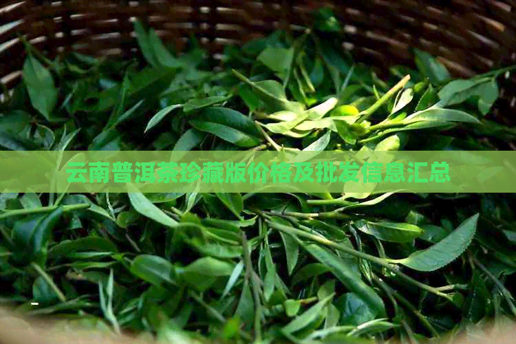 云南普洱茶珍藏版价格及批发信息汇总