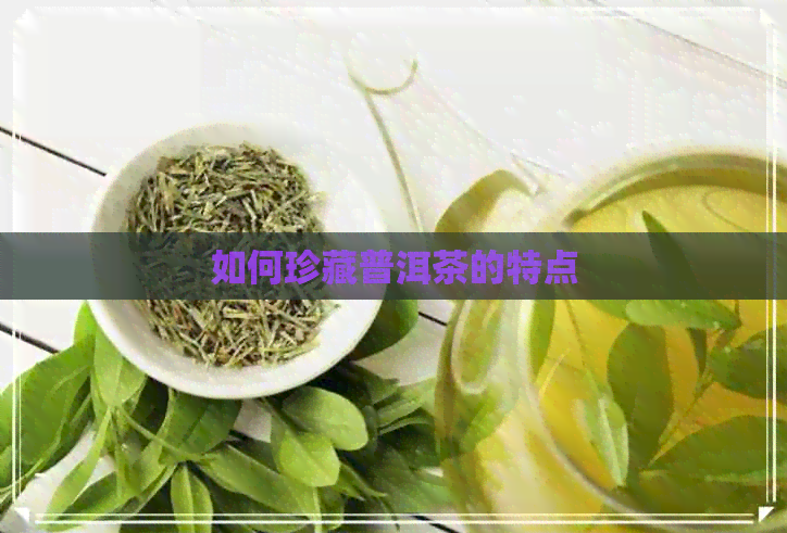 如何珍藏普洱茶的特点