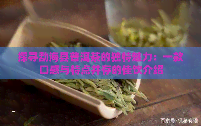 探寻勐海县普洱茶的独特魅力：一款口感与特点并存的佳饮介绍