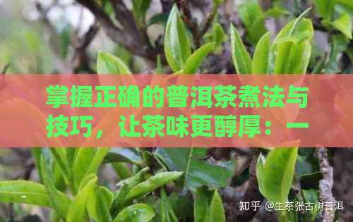 掌握正确的普洱茶煮法与技巧，让茶味更醇厚：一份全方位指南