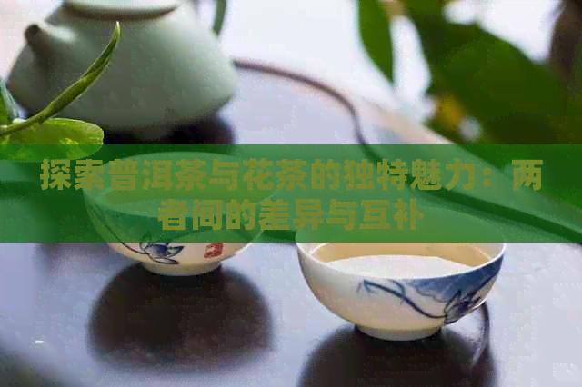 探索普洱茶与花茶的独特魅力：两者间的差异与互补