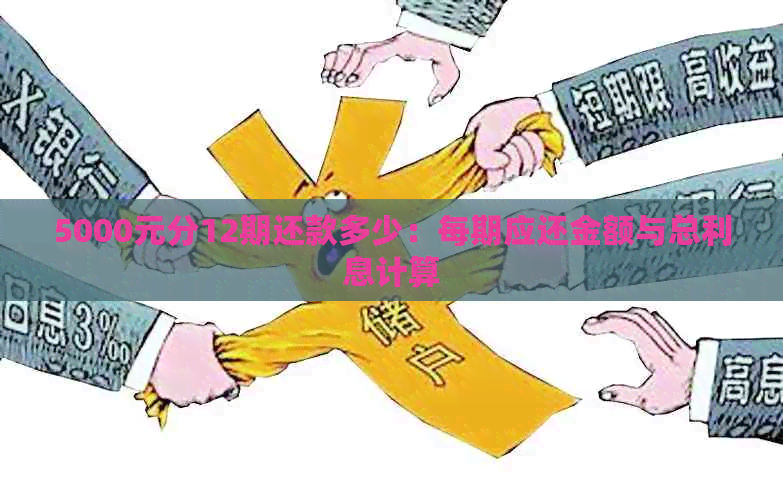 5000元分12期还款多少：每期应还金额与总利息计算