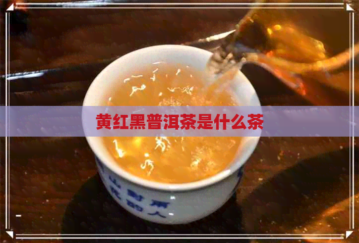 黄红黑普洱茶是什么茶