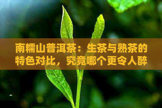 南糯山普洱茶：生茶与熟茶的特色对比，究竟哪个更令人醉？