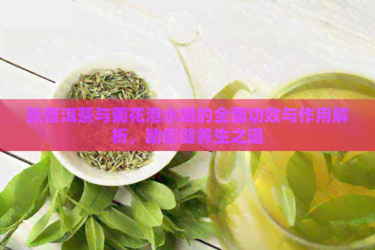 新普洱茶与菊花泡水喝的全面功效与作用解析，助您健养生之道