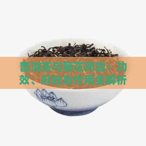 普洱茶与菊花同泡：功效、好处及作用全解析