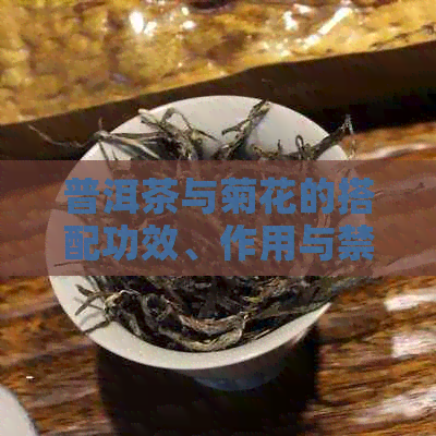 普洱茶与菊花的搭配功效、作用与禁忌解析：一文解答您的疑问