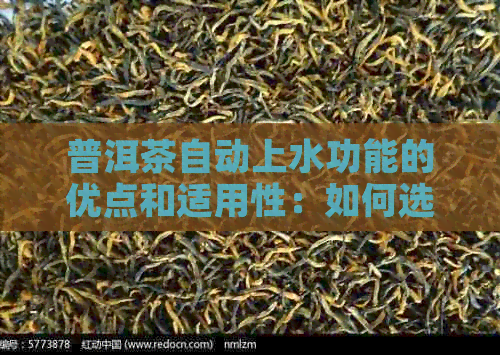 普洱茶自动上水功能的优点和适用性：如何选择适合自己需求的茶具？