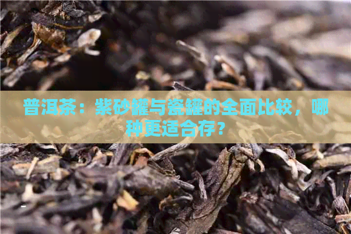 普洱茶：紫砂罐与瓷罐的全面比较，哪种更适合存？