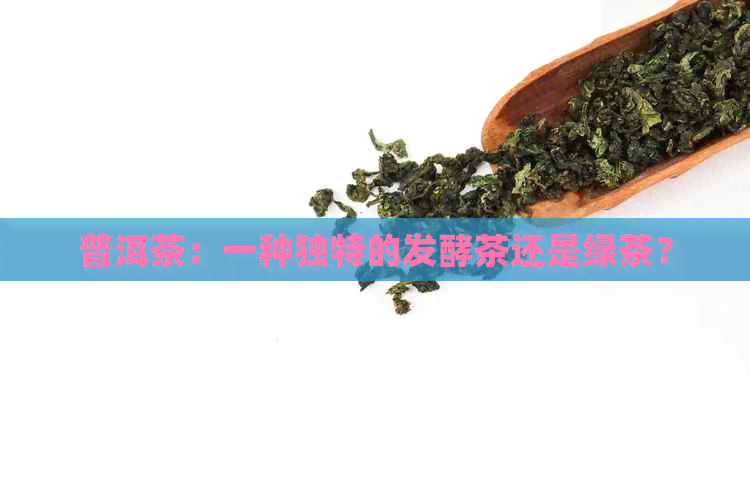 普洱茶：一种独特的发酵茶还是绿茶？