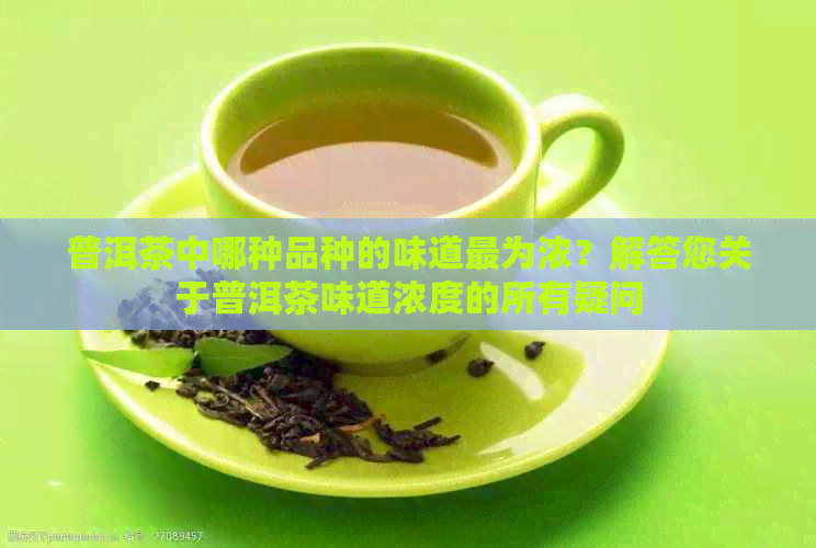 普洱茶中哪种品种的味道最为浓？解答您关于普洱茶味道浓度的所有疑问