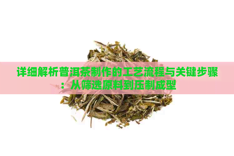 详细解析普洱茶制作的工艺流程与关键步骤：从筛选原料到压制成型