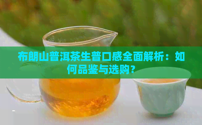 布朗山普洱茶生普口感全面解析：如何品鉴与选购？