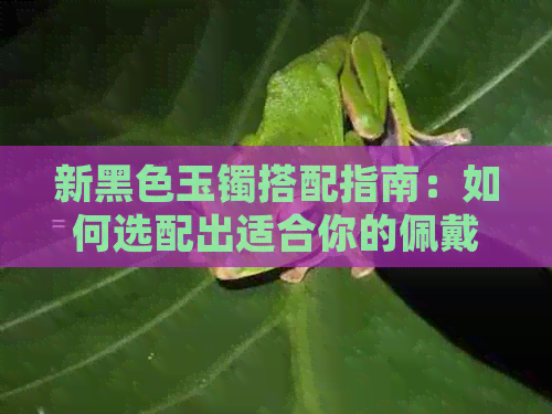 新黑色玉镯搭配指南：如何选配出适合你的佩戴风格？