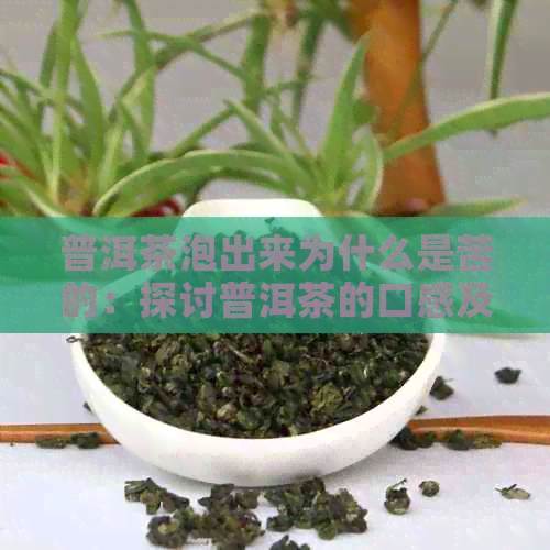 普洱茶泡出来为什么是苦的：探讨普洱茶的口感及原因