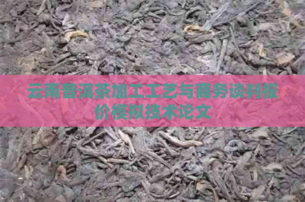 云南普洱茶加工工艺与商务谈判报价模拟技术论文