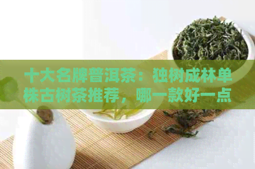 十大名牌普洱茶：独树成林单株古树茶推荐，哪一款好一点？