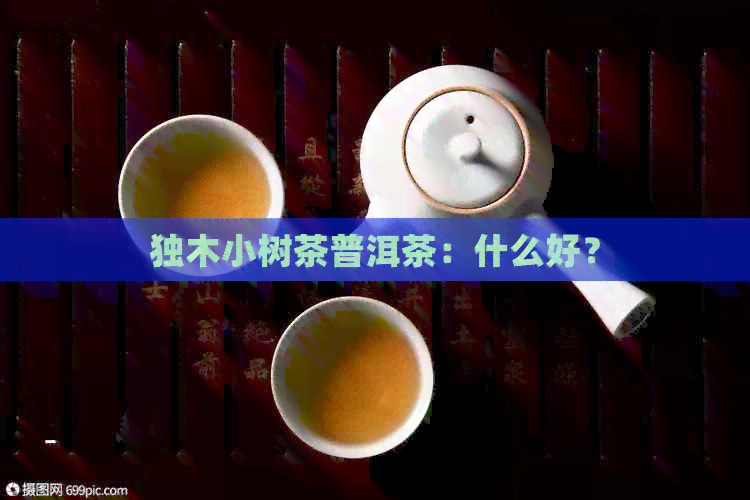 独木小树茶普洱茶：什么好？