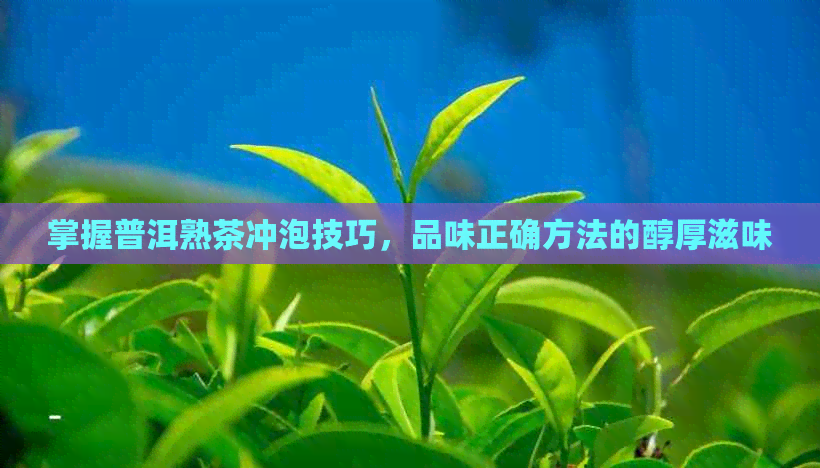 掌握普洱熟茶冲泡技巧，品味正确方法的醇厚滋味