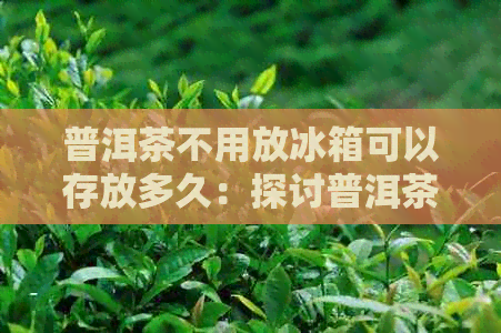 普洱茶不用放冰箱可以存放多久：探讨普洱茶的保存方式