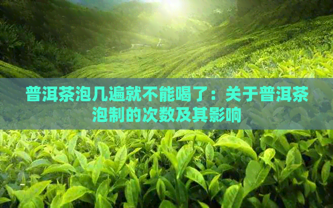 普洱茶泡几遍就不能喝了：关于普洱茶泡制的次数及其影响