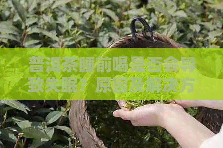 普洱茶睡前喝是否会导致失眠？原因及解决方法解析