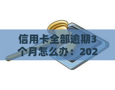 信用卡全部逾期3个月怎么办：2021年立案处理策略和解决方法