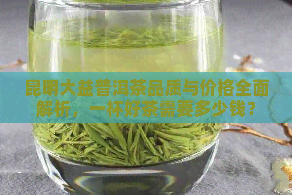 昆明大益普洱茶品质与价格全面解析，一杯好茶需要多少钱？