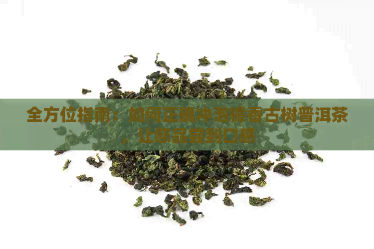 全方位指南：如何正确冲泡樟香古树普洱茶，让您品尝到口感