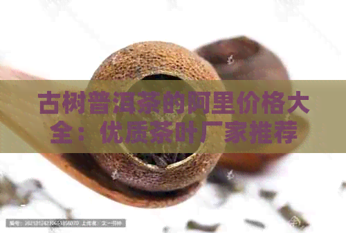 古树普洱茶的阿里价格大全：优质茶叶厂家推荐