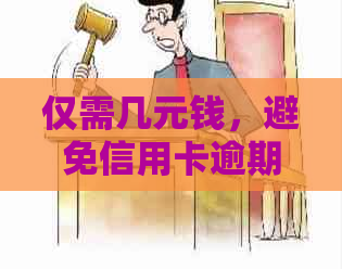 仅需几元钱，避免信用卡逾期的信用危机与后果处理全攻略