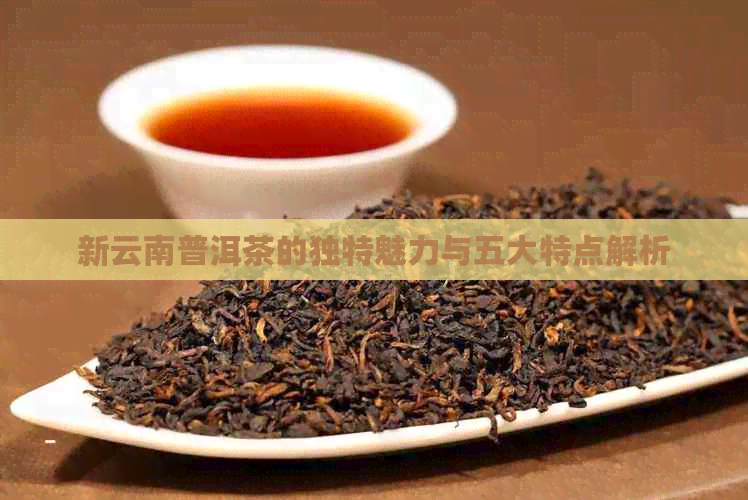 新云南普洱茶的独特魅力与五大特点解析