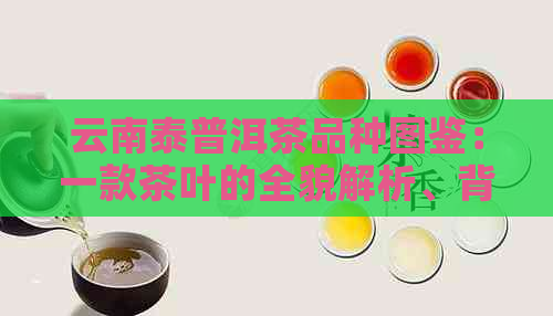 云南泰普洱茶品种图鉴：一款茶叶的全貌解析、背景与市场价格