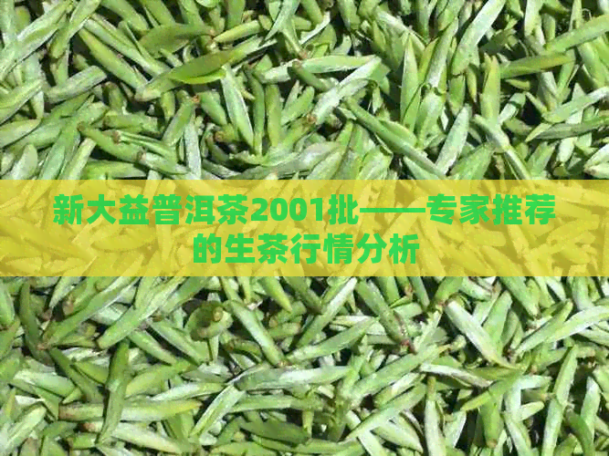 新大益普洱茶2001批——专家推荐的生茶行情分析