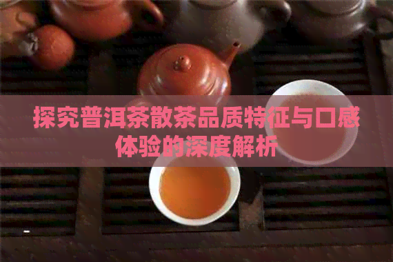 探究普洱茶散茶品质特征与口感体验的深度解析