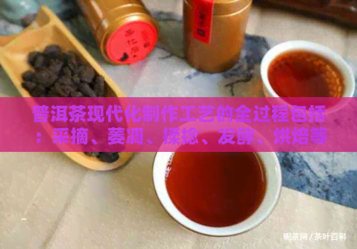 普洱茶现代化制作工艺的全过程包括：采摘、萎凋、揉捻、发酵、烘焙等环节。