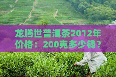 龙腾世普洱茶2012年价格：200克多少钱？熟茶等详解。