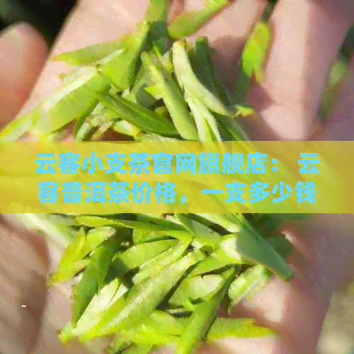 云客小支茶官网旗舰店： 云客普洱茶价格，一支多少钱及详细信息。