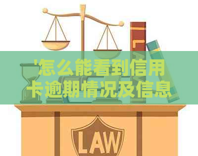 '怎么能看到信用卡逾期情况及信息'