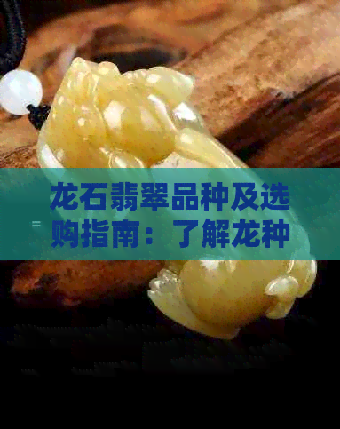 龙石翡翠品种及选购指南：了解龙种翡翠的特点、价格和挑选方法