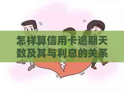 怎样算信用卡逾期天数及其与利息的关系