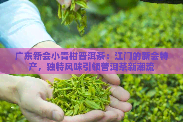 广东新会小青柑普洱茶：江门的新会特产，独特风味引领普洱茶新潮流