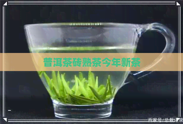 普洱茶砖熟茶今年新茶