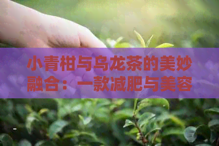 小青柑与乌龙茶的美妙融合：一款减肥与美容兼具的独特普洱茶饮