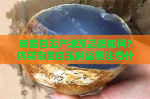 南昌白玉产地及品质如何？购买南昌白玉时需要注意什么？