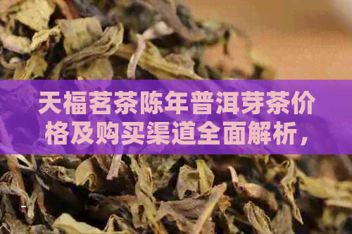 天福茗茶陈年普洱芽茶价格及购买渠道全面解析，让你轻松选购到正品好茶