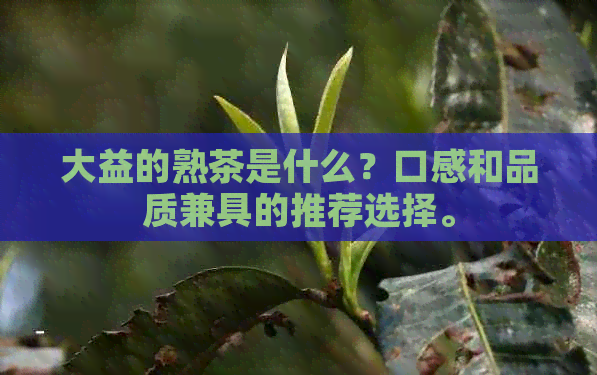 大益的熟茶是什么？口感和品质兼具的推荐选择。