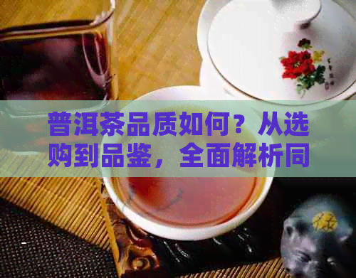 普洱茶品质如何？从选购到品鉴，全面解析同庆普洱茶的魅力与特点