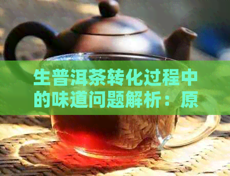 生普洱茶转化过程中的味道问题解析：原因与改善方法